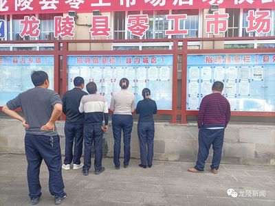 龍陵 多維度促進(jìn)就業(yè)創(chuàng)業(yè)，高質(zhì)量托穩(wěn)民生幸?！殬I(yè)中介服務(wù)的核心角色與創(chuàng)新實(shí)踐